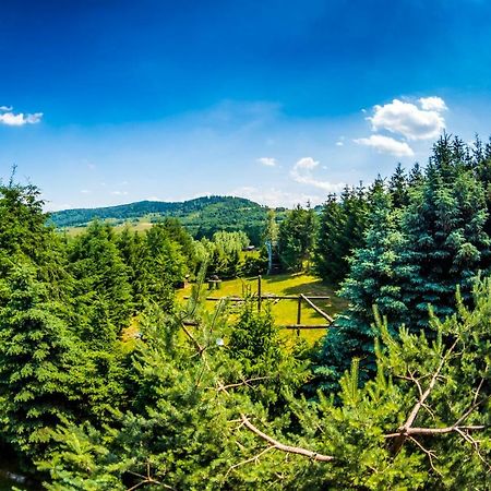 Agroturystyka Kapellanka - Kraina Wygaslych Wulkanow Wojcieszów Екстериор снимка